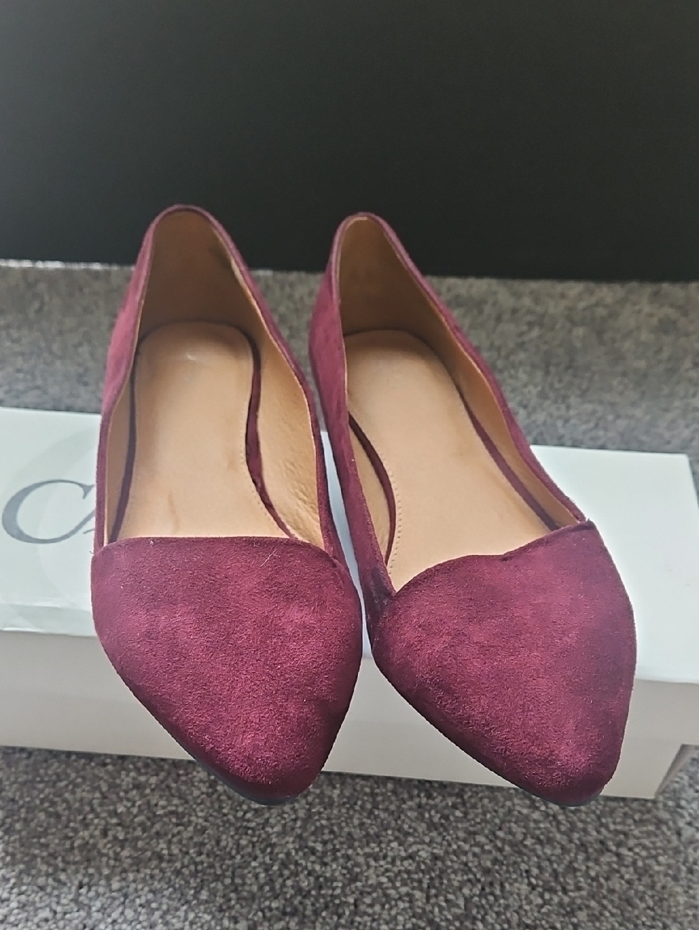 Cato Burgundy Pointed-Toe Suede Flats